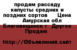 продам рассаду капусты средних и поздних сортов.  › Цена ­ 50 - Амурская обл., Благовещенск г. Другое » Продам   